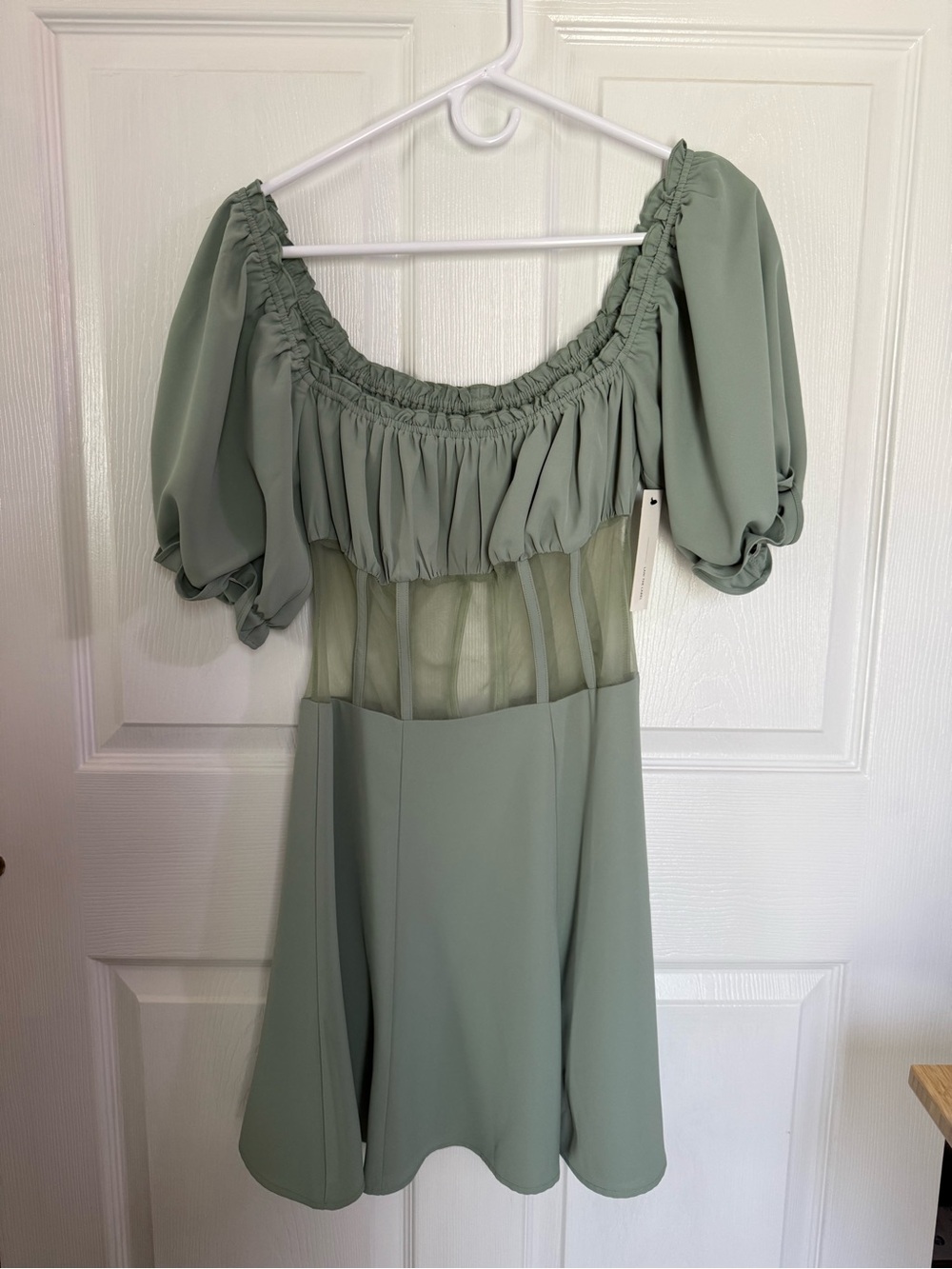 NWT Lani the Label Tiffany Dress | Light Sage Puff-Sleeve Mini Dress